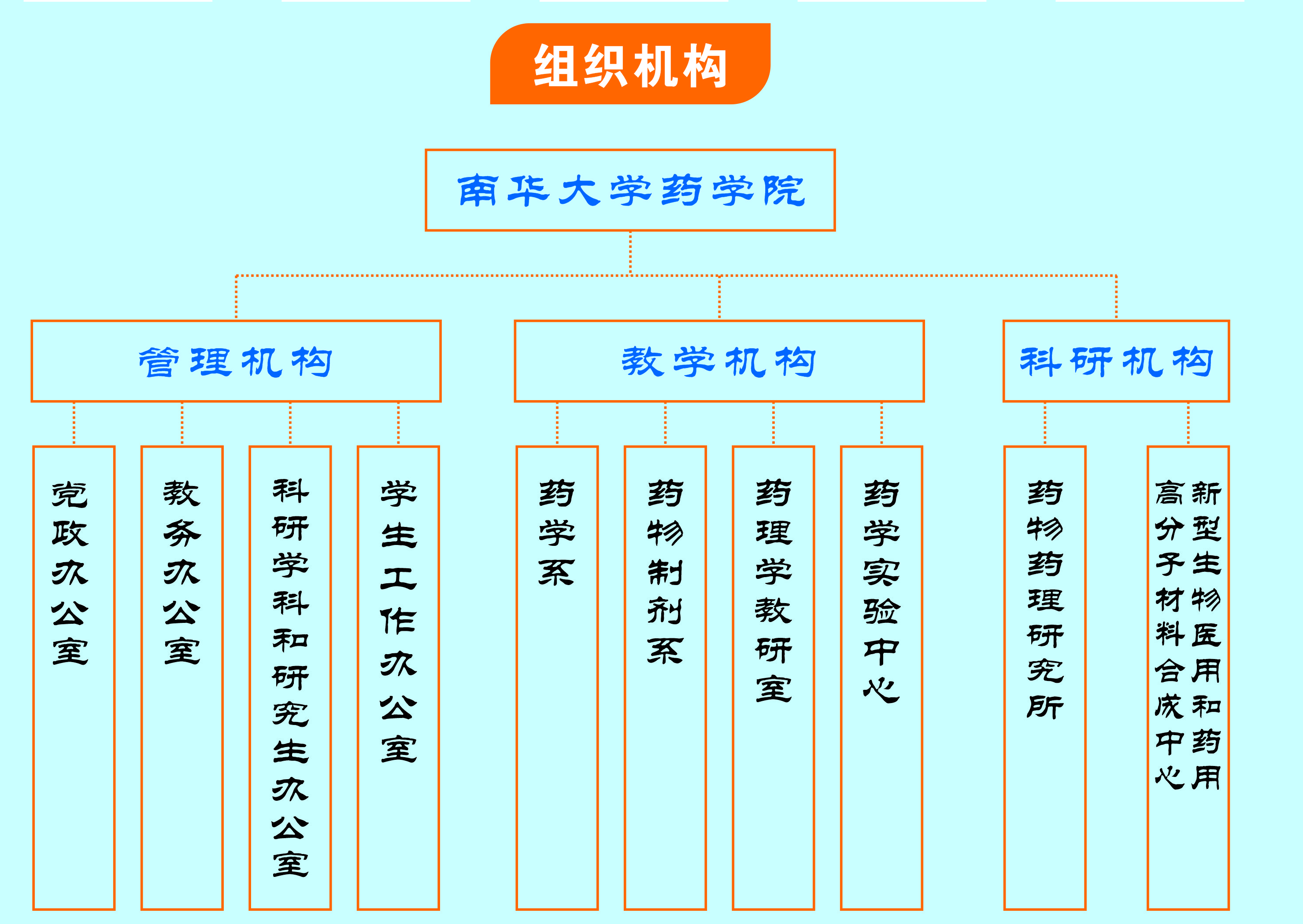 高职院校组织机构图图片